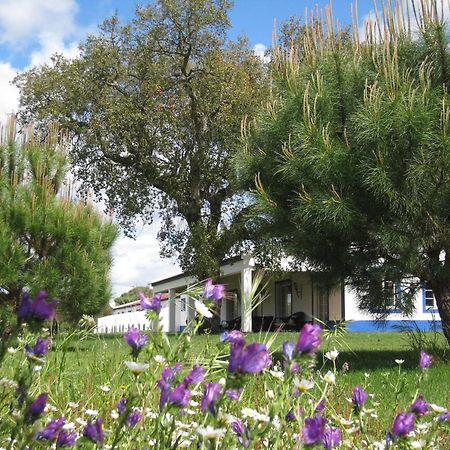 Monte Das Faias Cork Farm Hotel Grândola 外观 照片