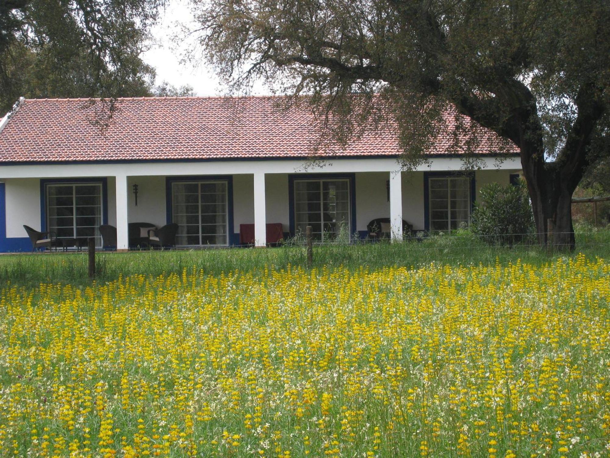 Monte Das Faias Cork Farm Hotel Grândola 外观 照片