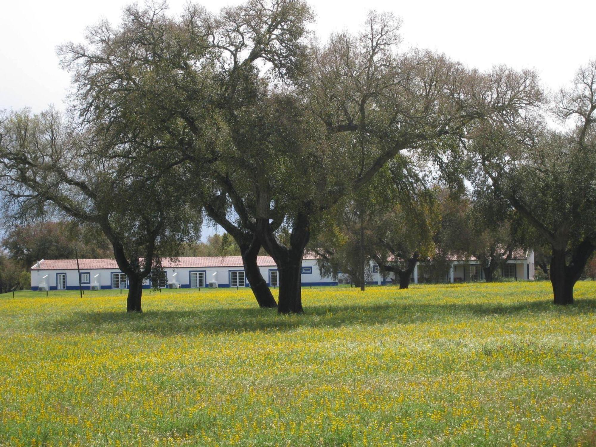Monte Das Faias Cork Farm Hotel Grândola 外观 照片