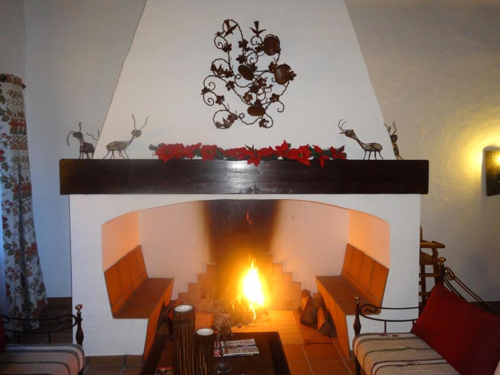 Monte Das Faias Cork Farm Hotel Grândola 外观 照片